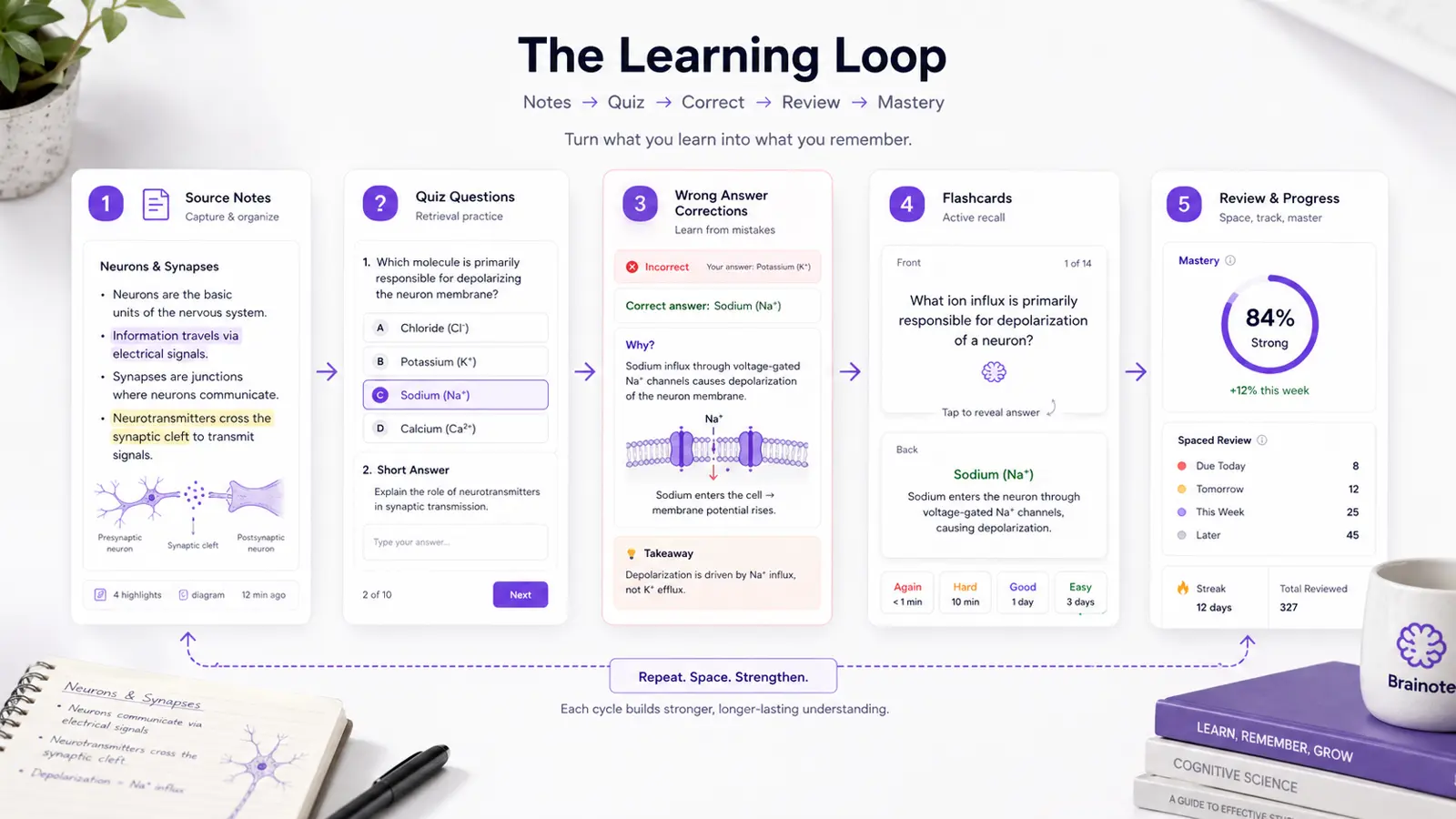 الأسئلة هي النقطة التي تبدأ فيها الملاحظات بالتحول إلى تعلم فعلي